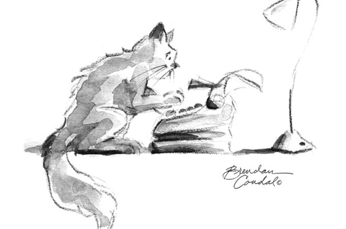 cat at typewriter