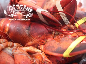 field trip friday lobster fest