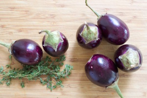 baby eggplant 1