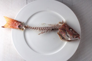 Snapper Bones