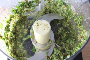 cilantro puree