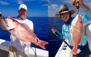 american red snapper