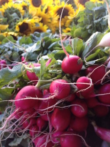 radishes