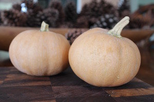 Winter Squash