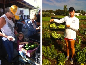 gleaning jessica's organic farm