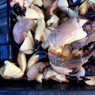 Fresh Stone Crab