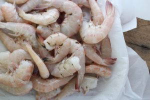 Gulf Shrimp Raw