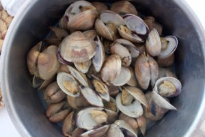 Littleneck clams after steaming