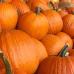 Fall pumpkins