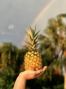 Pineapple under rainbow
