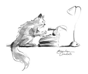 cat at typewriter
