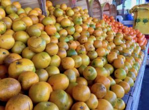 Farm stand citrus