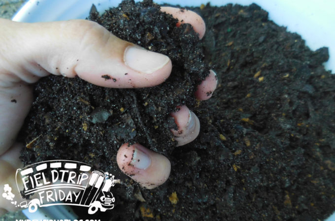 Field Trip Friday Sunshine Compost